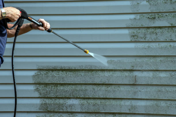 Best Affordable Pressure Washing  in George, IA