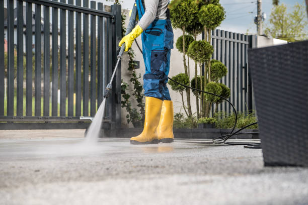 Best Best Pressure Washing Companies  in George, IA