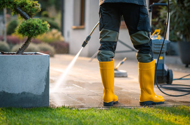Best Commercial Building Pressure Washing  in George, IA